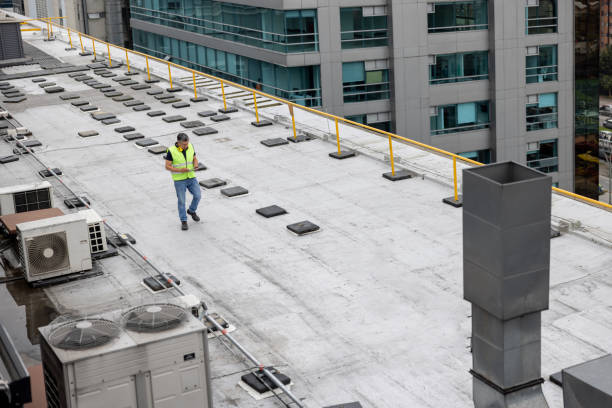 Best Rubber Roofing (EPDM, TPO)  in Sidy, NE