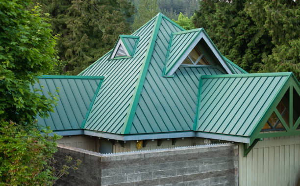 Best Emergency Roof Repair Services  in Sidy, NE