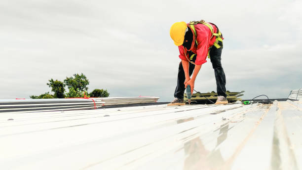 Best Asphalt Shingles Roofing  in Sidy, NE