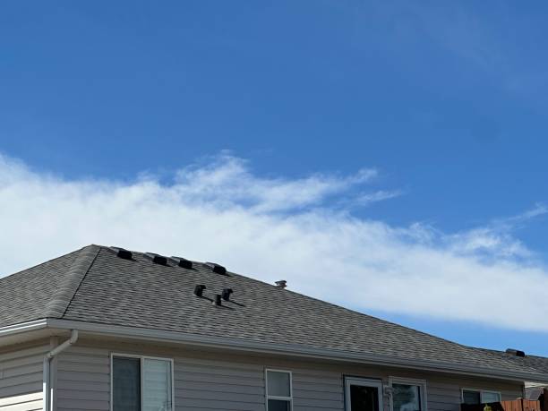 Best Rubber Roofing (EPDM, TPO)  in Sidy, NE
